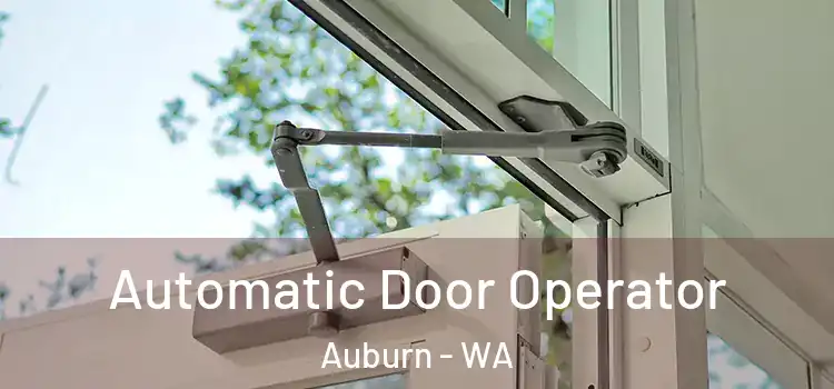 Automatic Door Operator Auburn - WA
