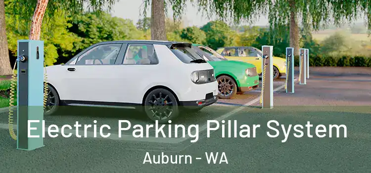  Electric Parking Pillar System Auburn - WA